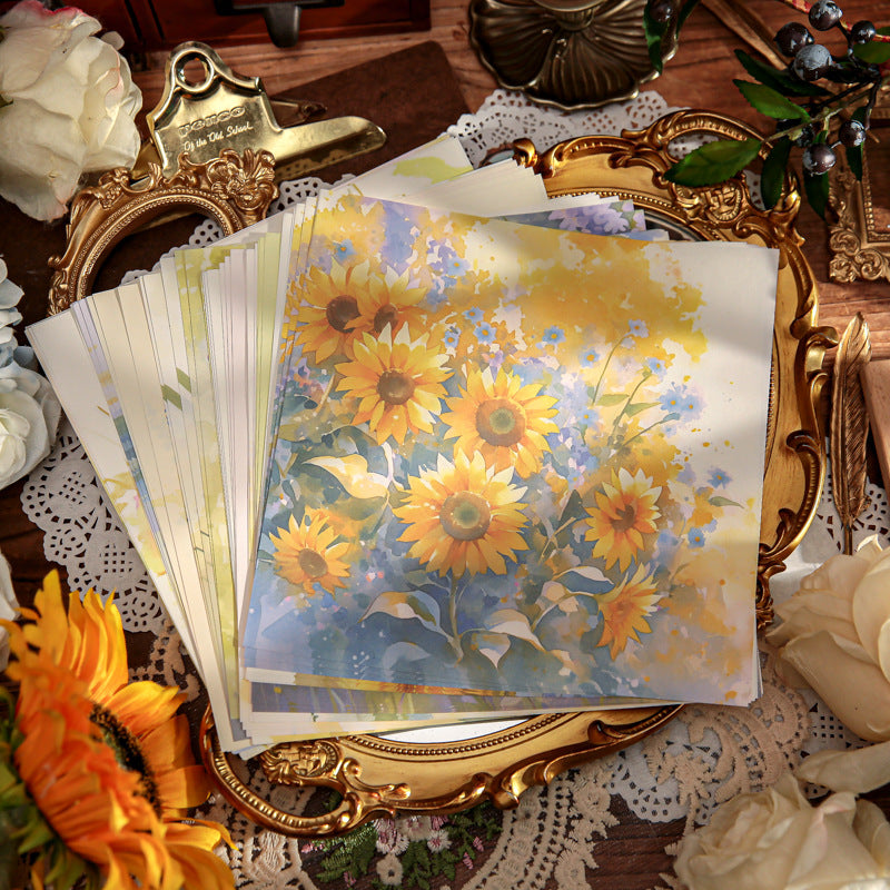 36pcs paper pack (p081503)