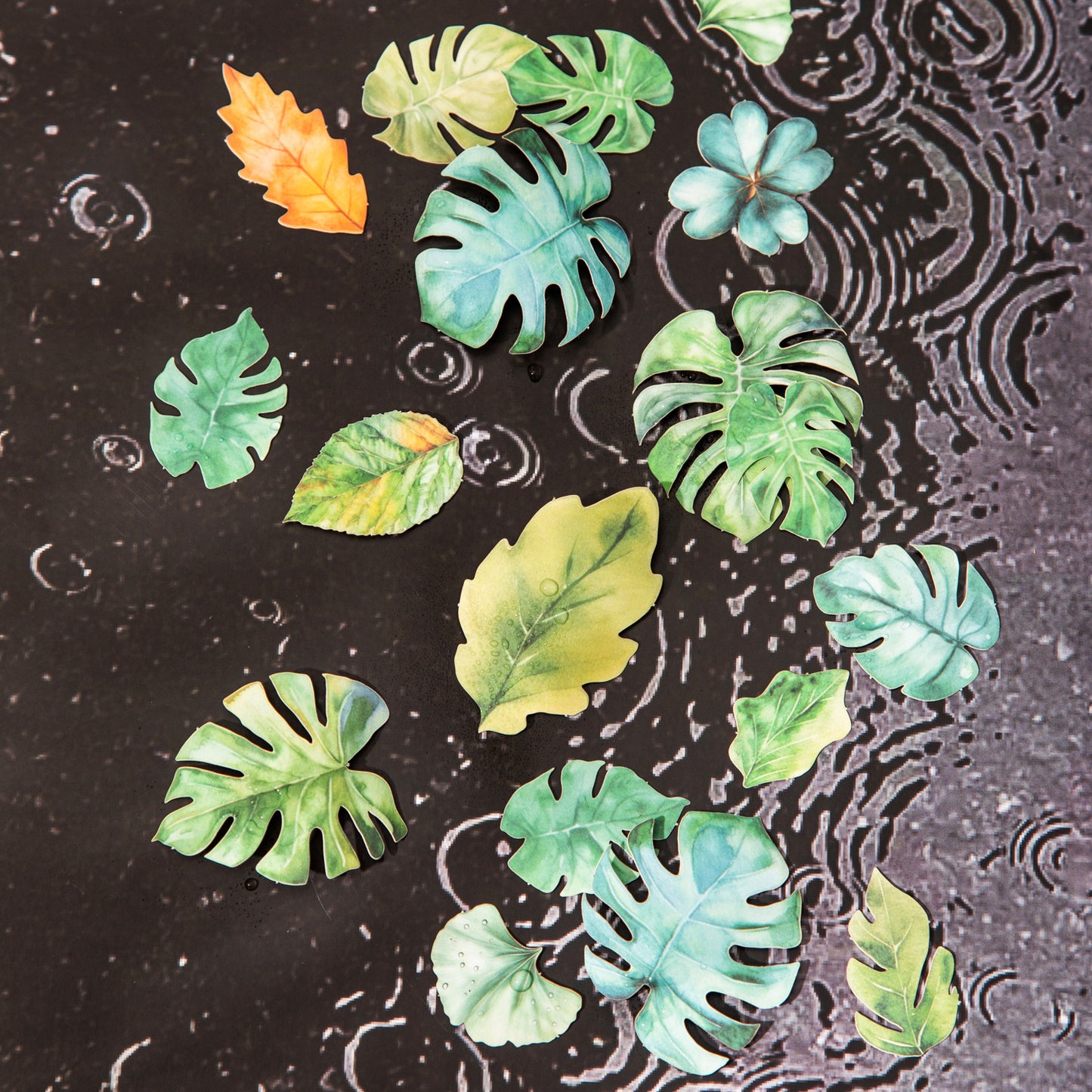 45pcs leaves sticker pack (MLS25061709)