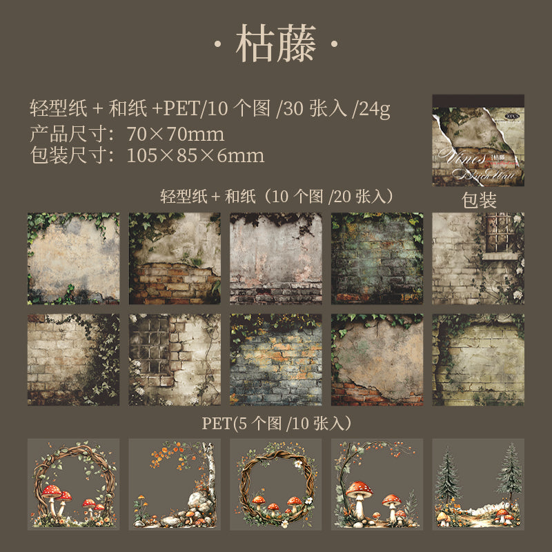 30pcs vine PET+WASHI+PAPER sticker book (MLTZB25062804)
