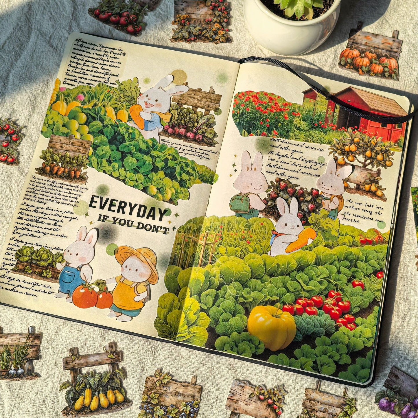 10pcs fruit food card sticker pack (MLS25040802)