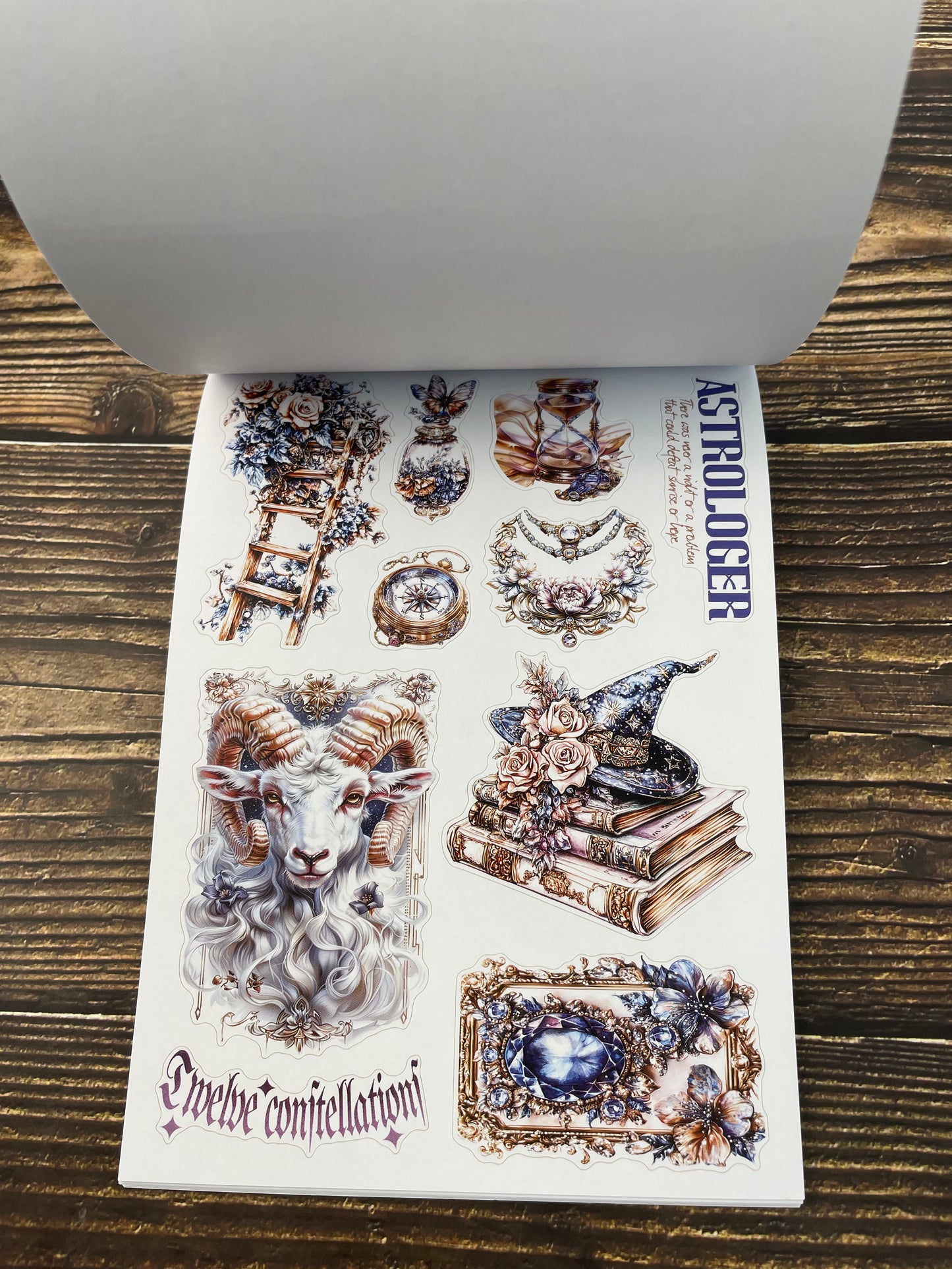 DEC A5 size Astrologer sticker book(ML-TZB24120401)