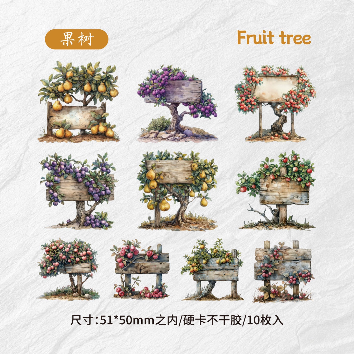 10pcs fruit food card sticker pack (MLS25040802)