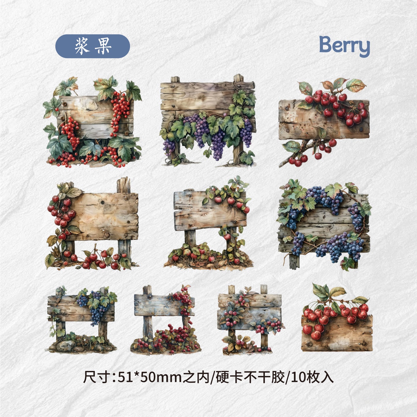 10pcs fruit food card sticker pack (MLS25040802)