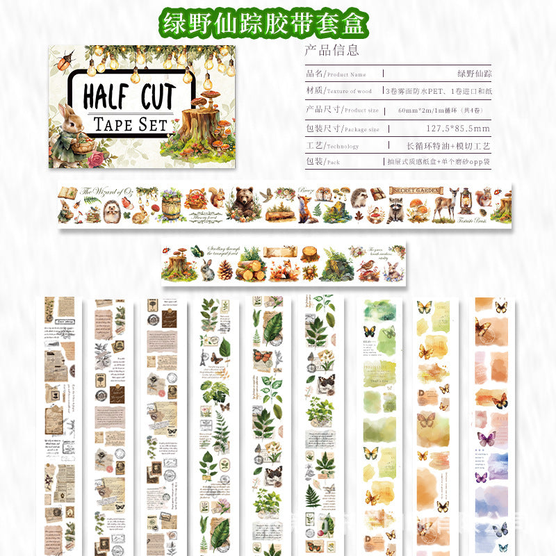 4rolls nature PET+WASHI tape box (T25051301)