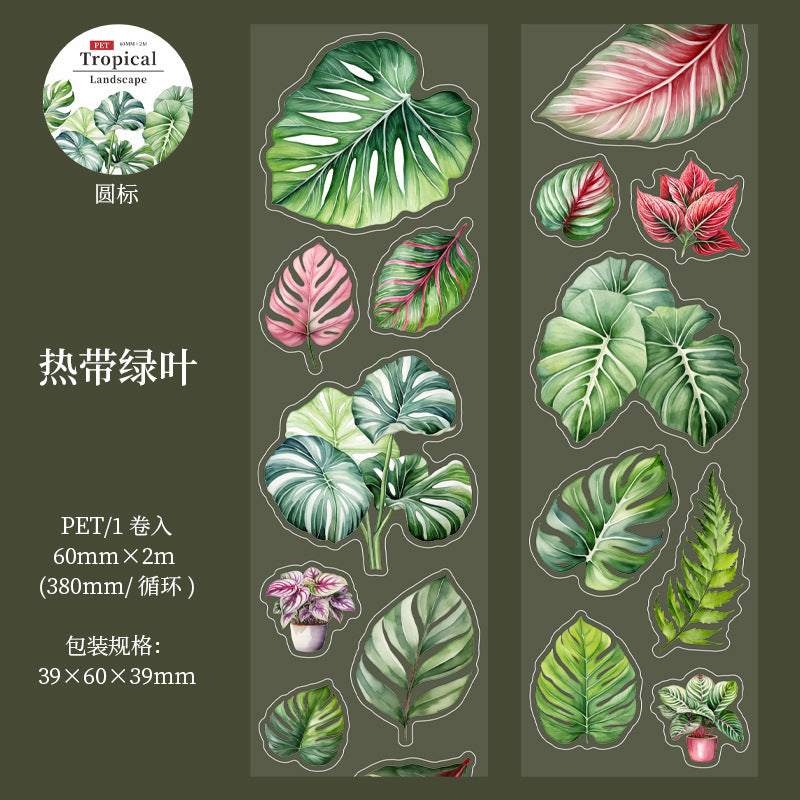 1 roll tropical landscape PET-tape (MLT25062802)