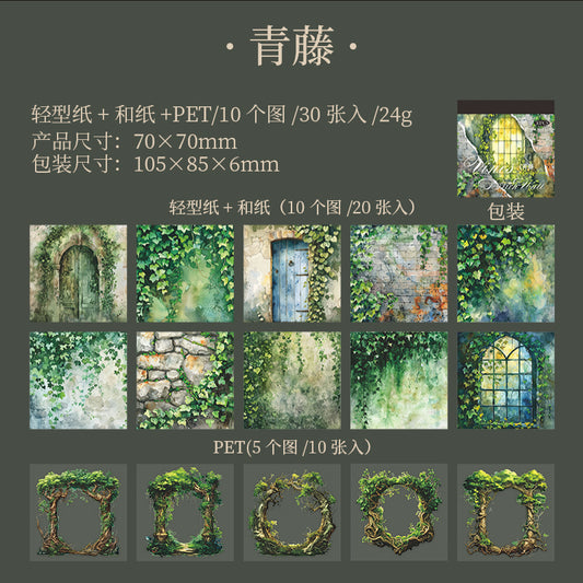 30pcs vine PET+WASHI+PAPER sticker book (MLTZB25062804)