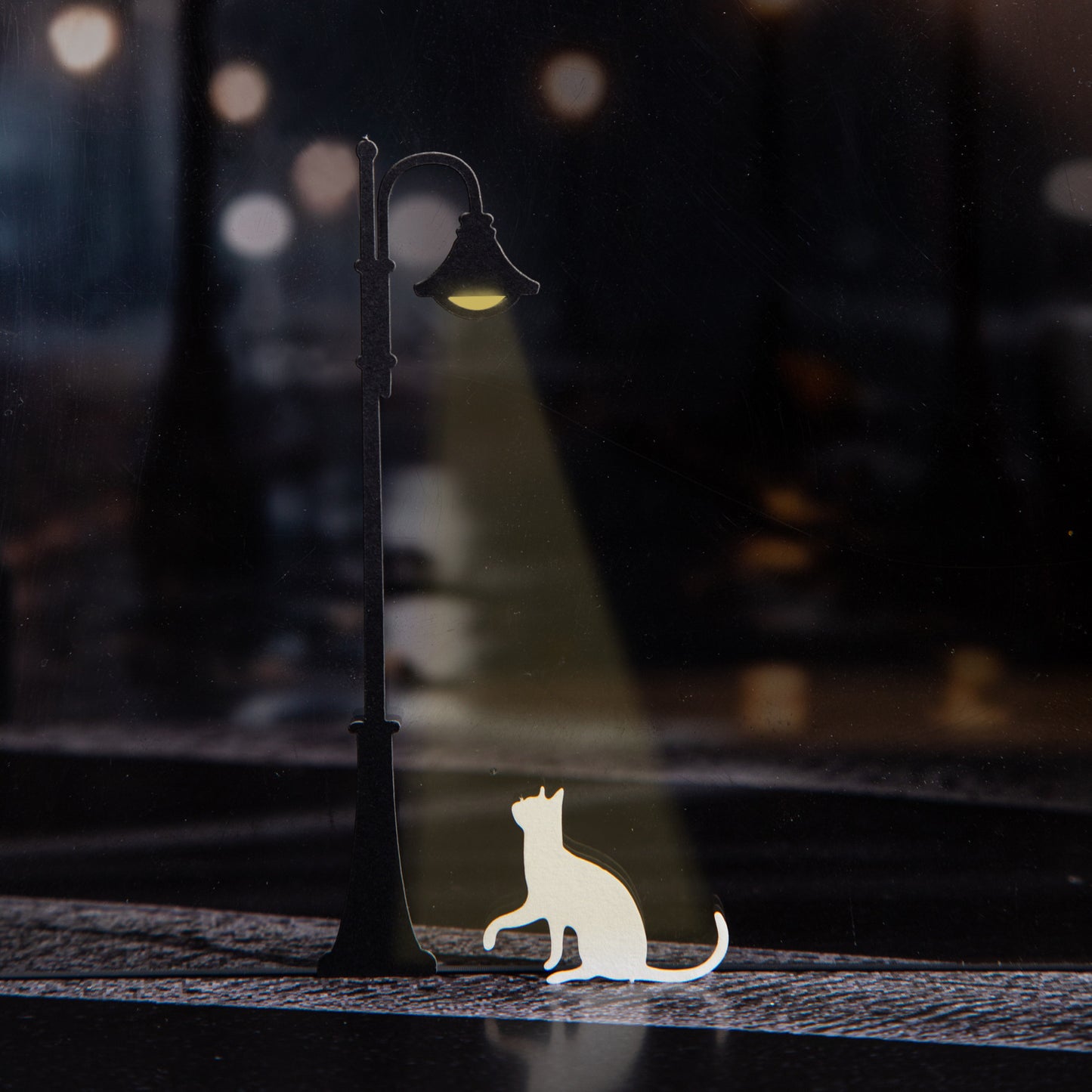 6pcs white and dark lamp cat die-cut card  (MLC25040803)