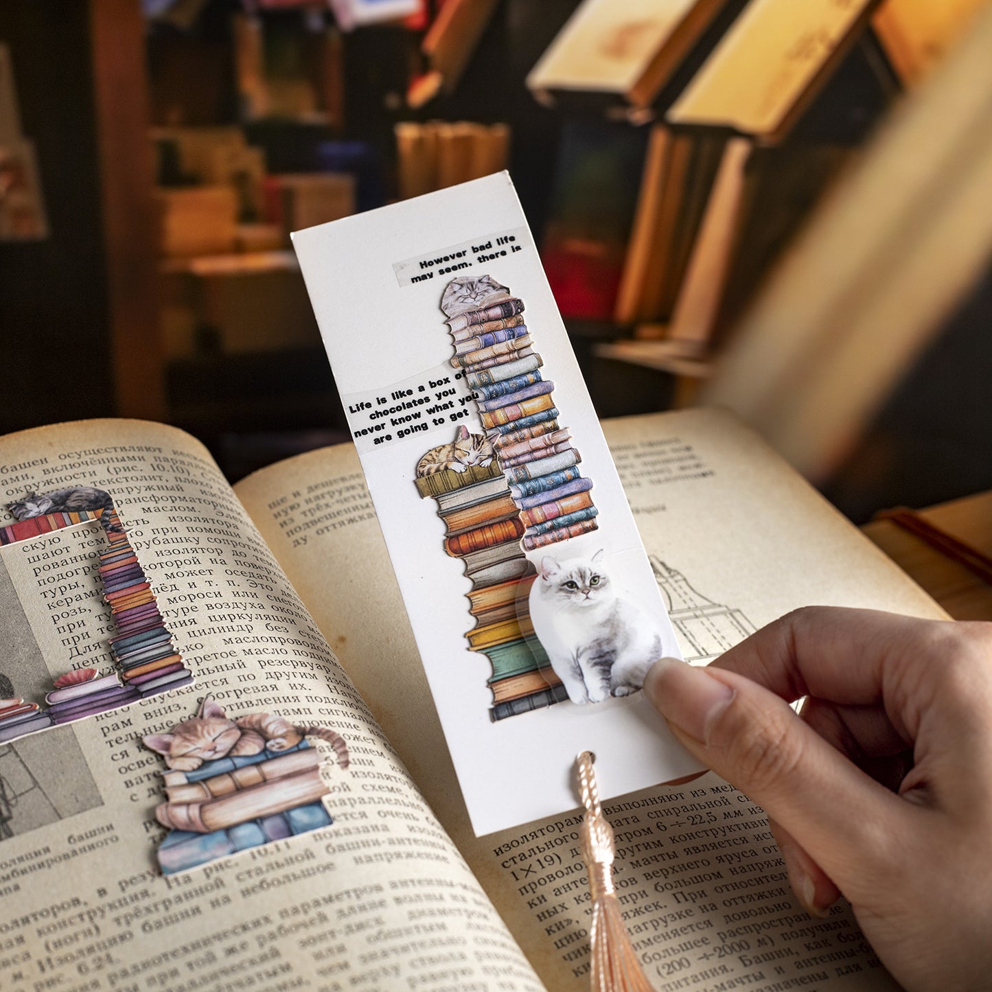 15pcs book shelf and cat sticker pack (MLS25041004)