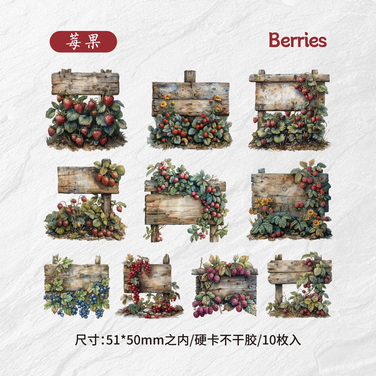 10pcs fruit food card sticker pack (MLS25040802)